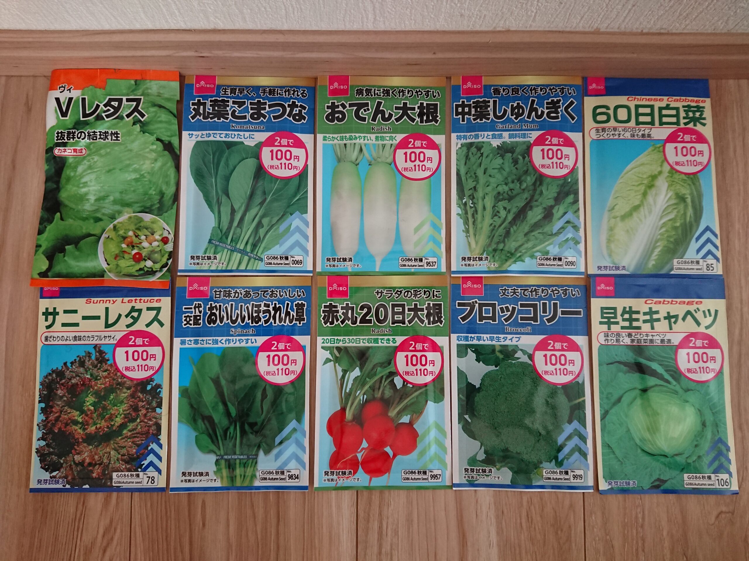 22冬 野菜を種から育ててみよう ゆきぞーのブログ